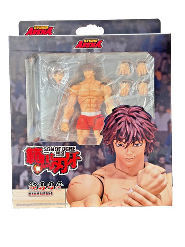 Storm arena baki hanma - baki,